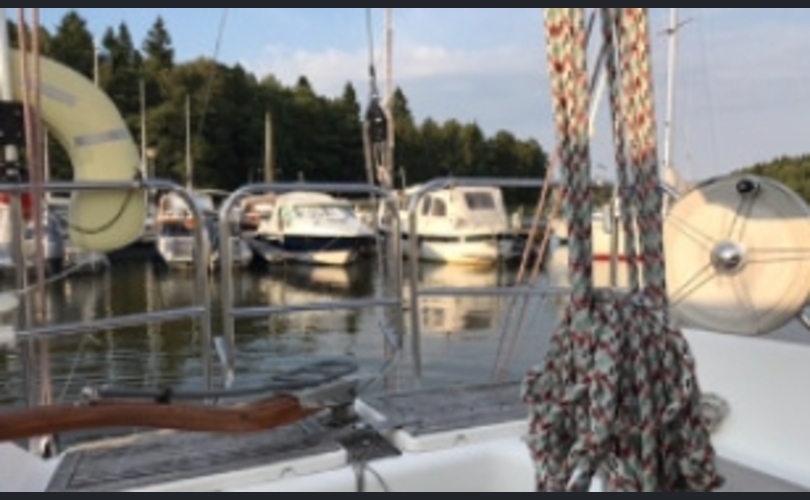 Finngulf Seaking-kuva-4